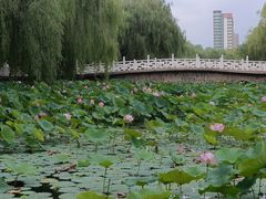 -满都海公园