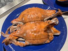 -星伦多自助料理·涮烤一体(江桥万达店)