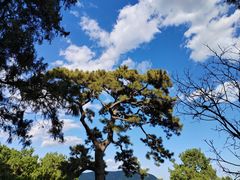 -香山公园