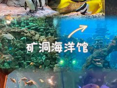 -长鹿旅游休博园