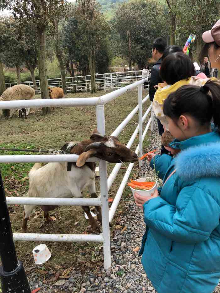 布布熊生态农场green&health-"—————✨营业信息✨—————