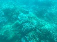 -亚龙湾海底世界