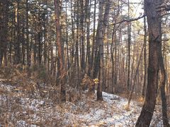 -帽儿山国家森林公园