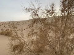 -撒拉人家.酸菜牦牛肉火锅