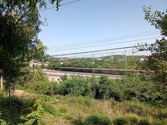 -白水寺森林公园
