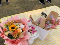 -二沙岛艺术公园