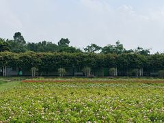 -盈香心动乐园