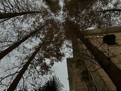 -一尺花园(安和花园店)