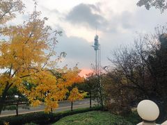-青岛海景花园大酒店·白果树餐厅青岛菜