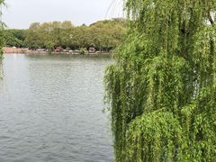 -苏堤停车场