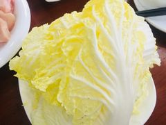 白菜-鑫龙火锅城(阳光新路店)