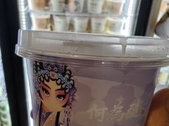 -大鸭梨烤鸭店(花园村店)