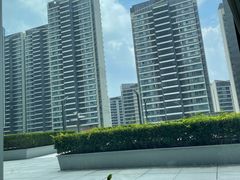 -凤凰湘语(浦东旗舰店)