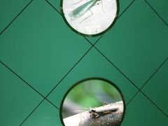 -上海昆虫博物馆