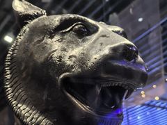 -广西壮族自治区博物馆