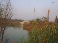 android_upload_pic-艾溪湖湿地公园