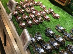 -盒马鲜生(新都心店)