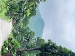 -深圳仙湖植物园