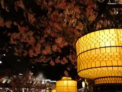 大堂-绿茶餐厅(昌平悦荟店)