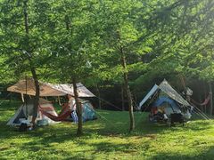 -武陵山森林公园