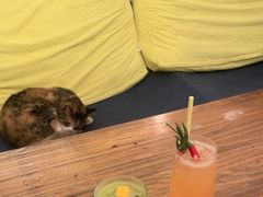 -Sirena海妖日咖夜酒