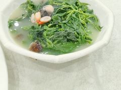 -姚林轩