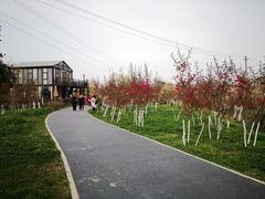 -桤木河湿地公园