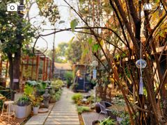 -谷咖啡·鲜花绿植花园餐厅