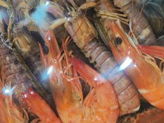 -鑫渔港海鲜本地菜·山海关浑锅(东戴河店)