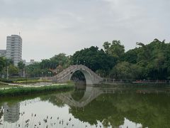 -金砂公园