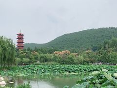 -云龙湖旅游景区