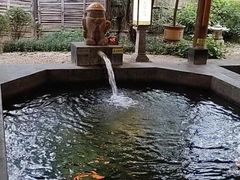 -西安国际创新人才交流中心•药浴温泉