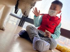 -Husky Go! 哈士奇体验馆·宠物咖啡厅狗咖