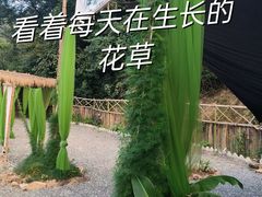 -北仑森林植物园
