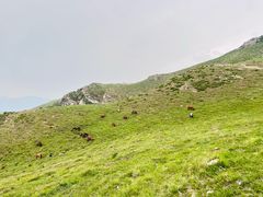 -灵山