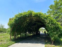 -良渚古城遗址公园