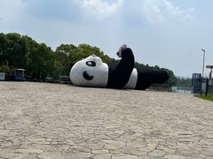 -苏州太湖国家湿地公园