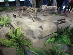 -自贡恐龙博物馆