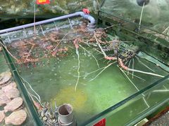-大茄来海鲜餐厅(亚洲城分行)