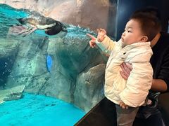 -海合安武汉极地海洋公园