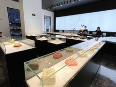 -BLACKSWAN黑天鹅(环球店)