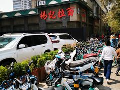 -杨记拉面总店