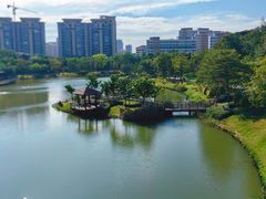-王借岗森林公园