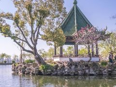 -无锡蠡湖国家湿地公园-蠡园