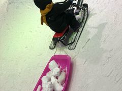 -宁波冰雪大世界(北仑区)