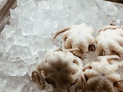 -铭聚章鱼土笋冻(松柏店)