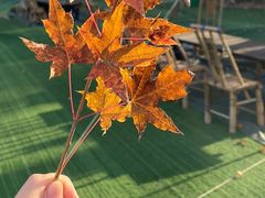 -熙古里艺术村