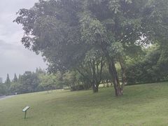 -眉山湿地公园(东坡区)