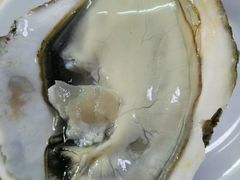 -蚝家菜馆(沙井店)