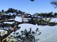 -罗田薄刀峰风景区